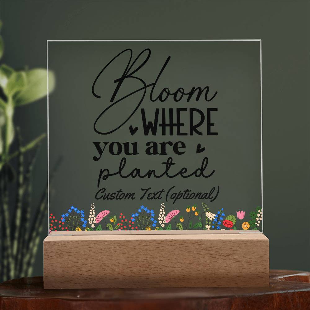 Bloom where you are planted - Acrylic Square Plaque w/LED base