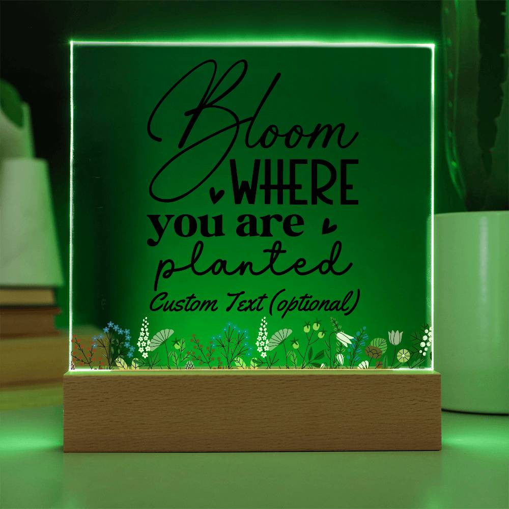 Bloom where you are planted - Acrylic Square Plaque w/LED base