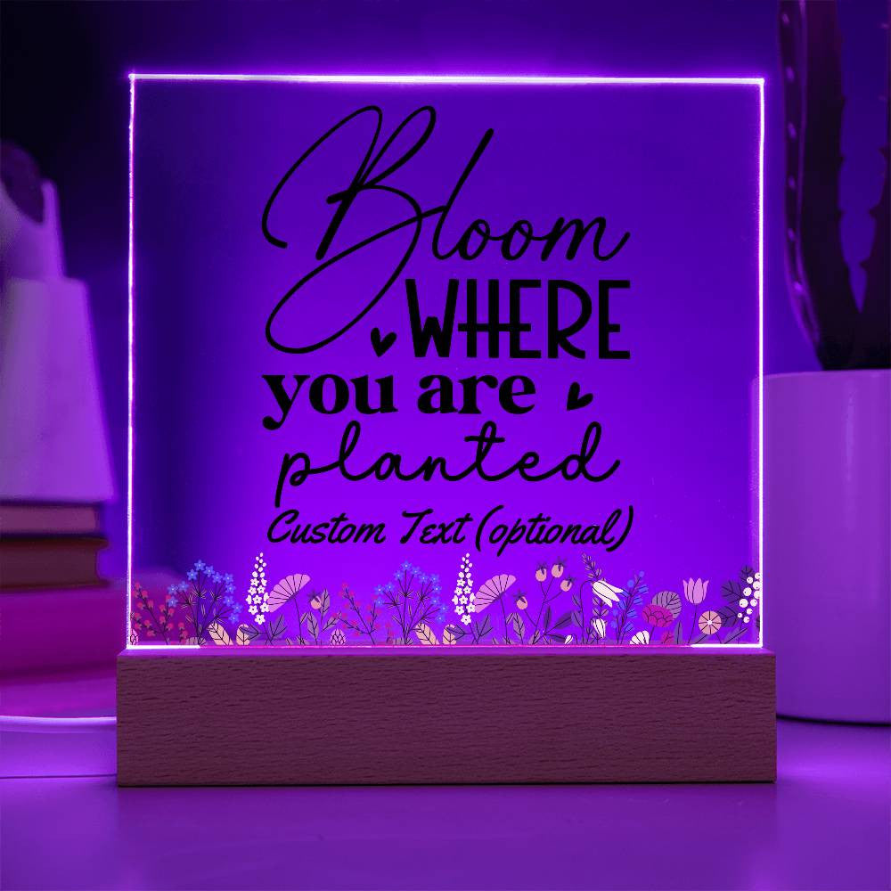 Bloom where you are planted - Acrylic Square Plaque w/LED base